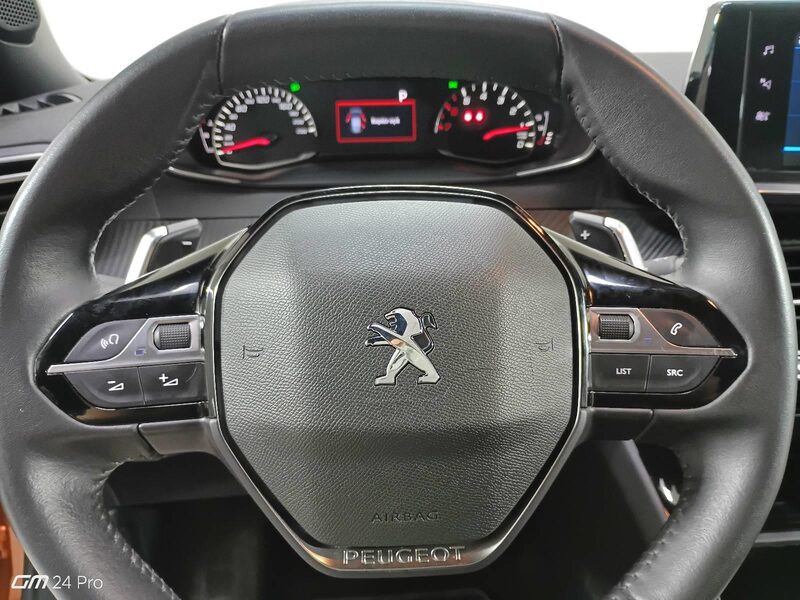 peugeot-2008-1-90-462067-3429286.jpeg