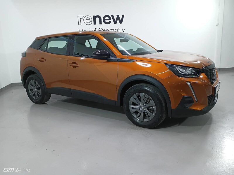 peugeot-2008-1-90-462067-3429254.jpeg