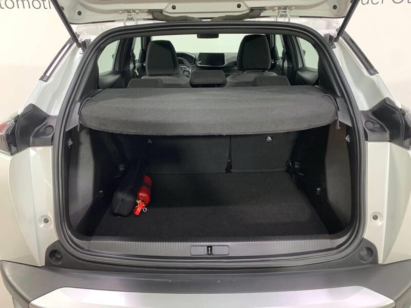 peugeot-2008-1-90-460499-3417771.jpeg