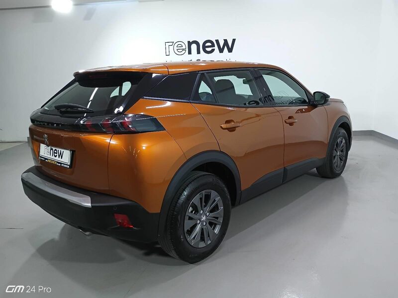 peugeot-2008-1-90-462067-3429265.jpeg