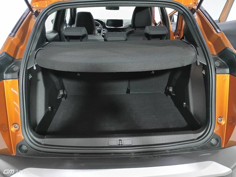 peugeot-2008-1-90-462067-3429285.jpeg